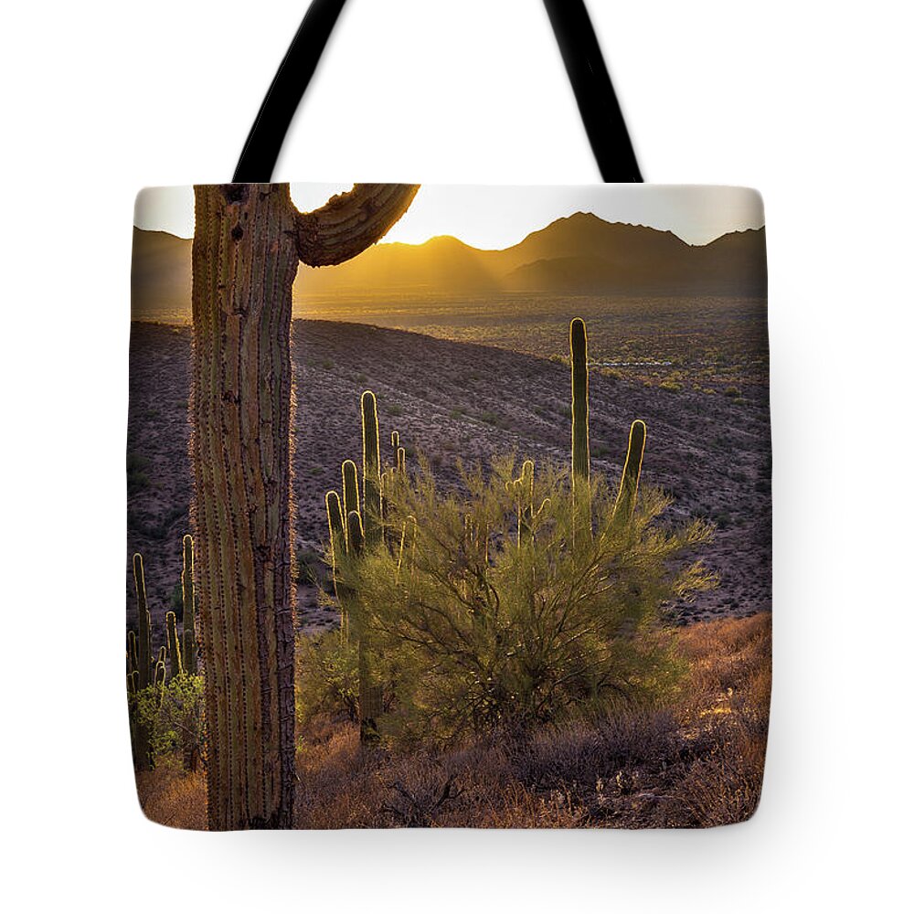 Saguaro Tote Bag featuring the photograph Saguaros at Sunset by Jen Manganello