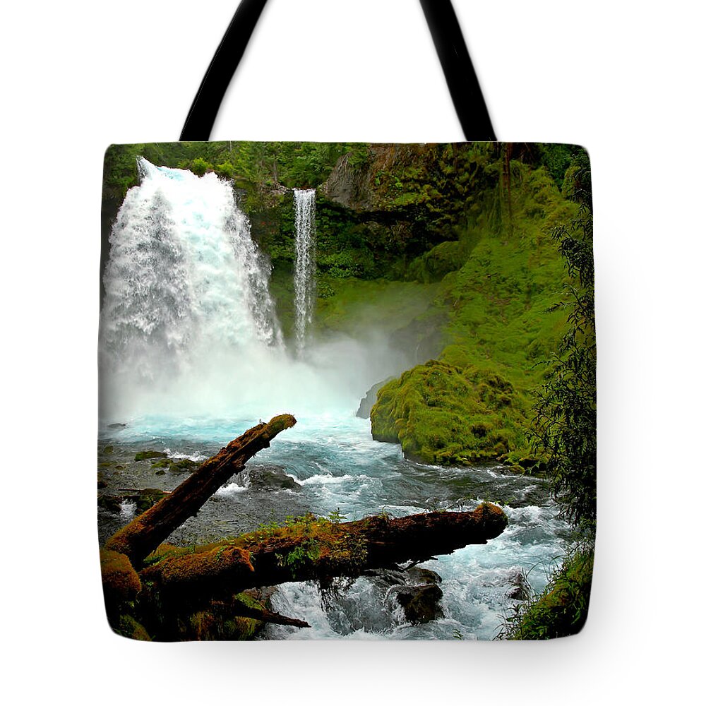 Landscape Tote Bag featuring the photograph Sahalie Falls by David Salter