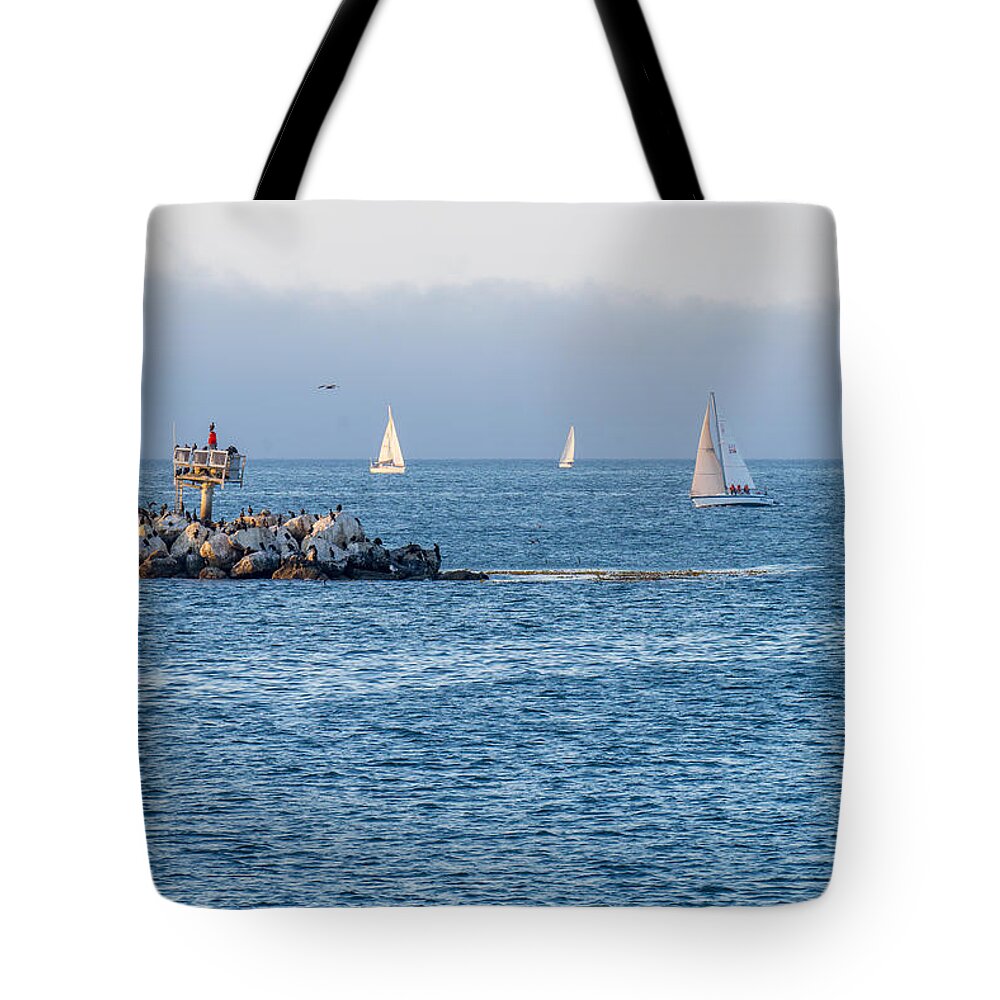 Sailing Tote Bag featuring the photograph Sailing on the Bay by Derek Dean