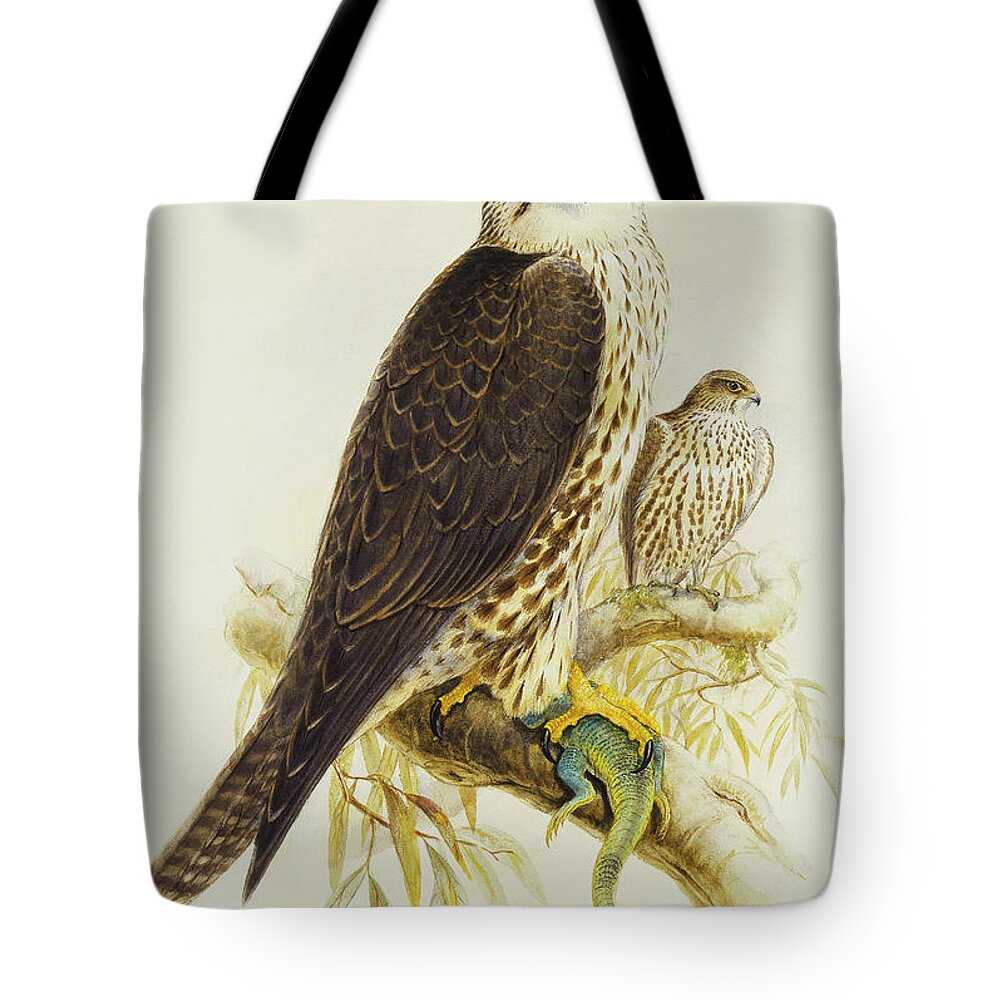 Bird Of Prey Tote Bag featuring the painting Saker Falcon by Joseph Wolf