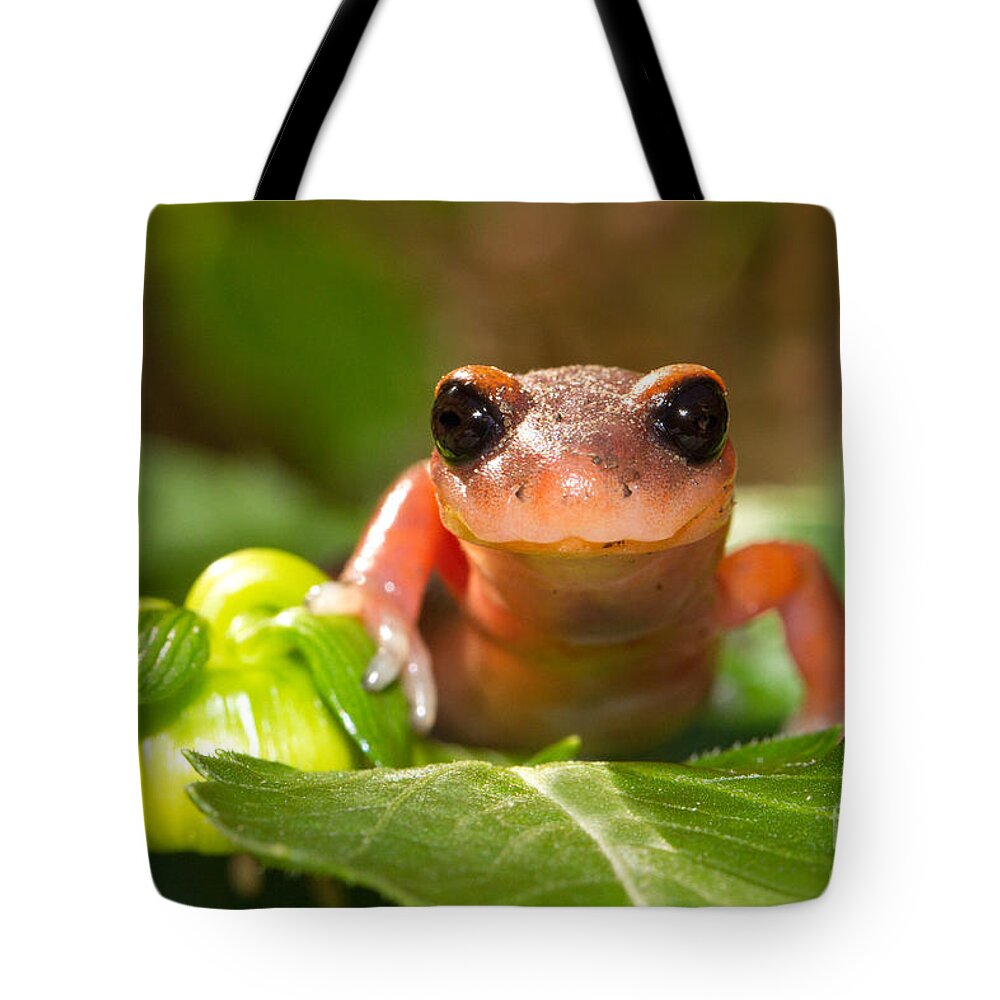 Salamander Tote Bag featuring the photograph Salamander Smile by Mimi Ditchie