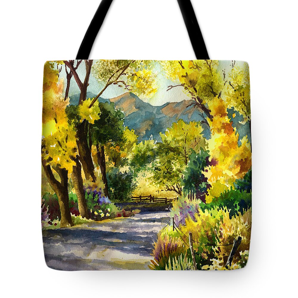 Salida Colorado Painting Tote Bag featuring the painting Salida Country Road by Anne Gifford