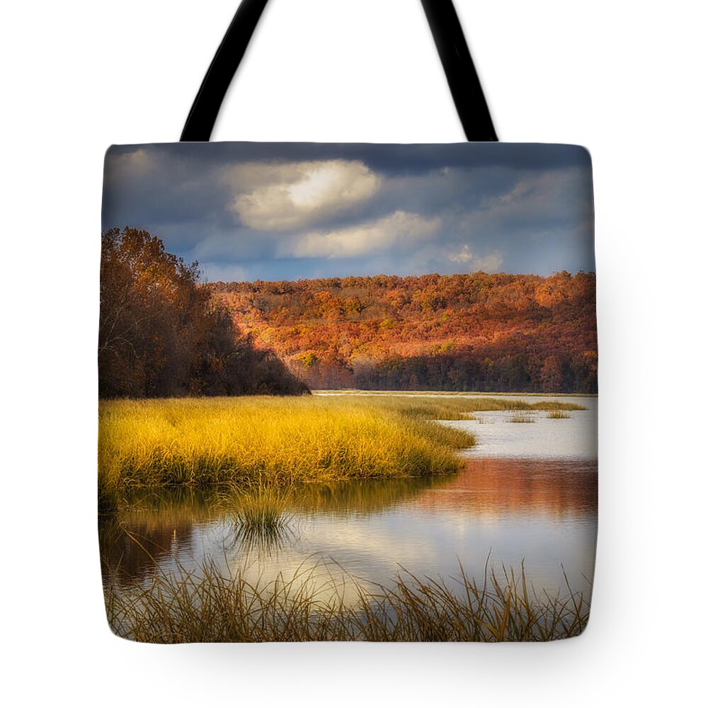 Sequoyah National Wildlife Refuge Tote Bag featuring the photograph Sally Jones Lake by James Barber