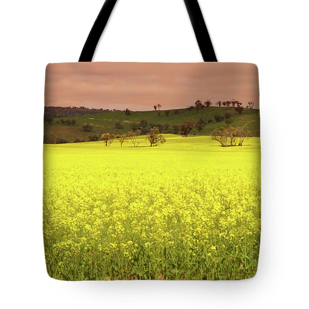 Salmon Pink Tote Bag featuring the photograph Salmon over Lemon by Cassandra Buckley
