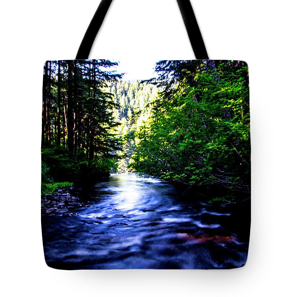  Tote Bag featuring the photograph Salt Creek Falls by Angus HOOPER III