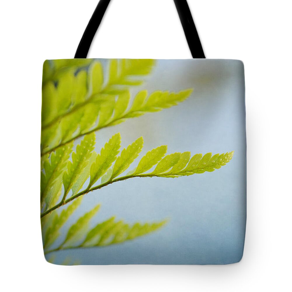 Fern Tote Bag featuring the photograph Salute To Summer by Fraida Gutovich
