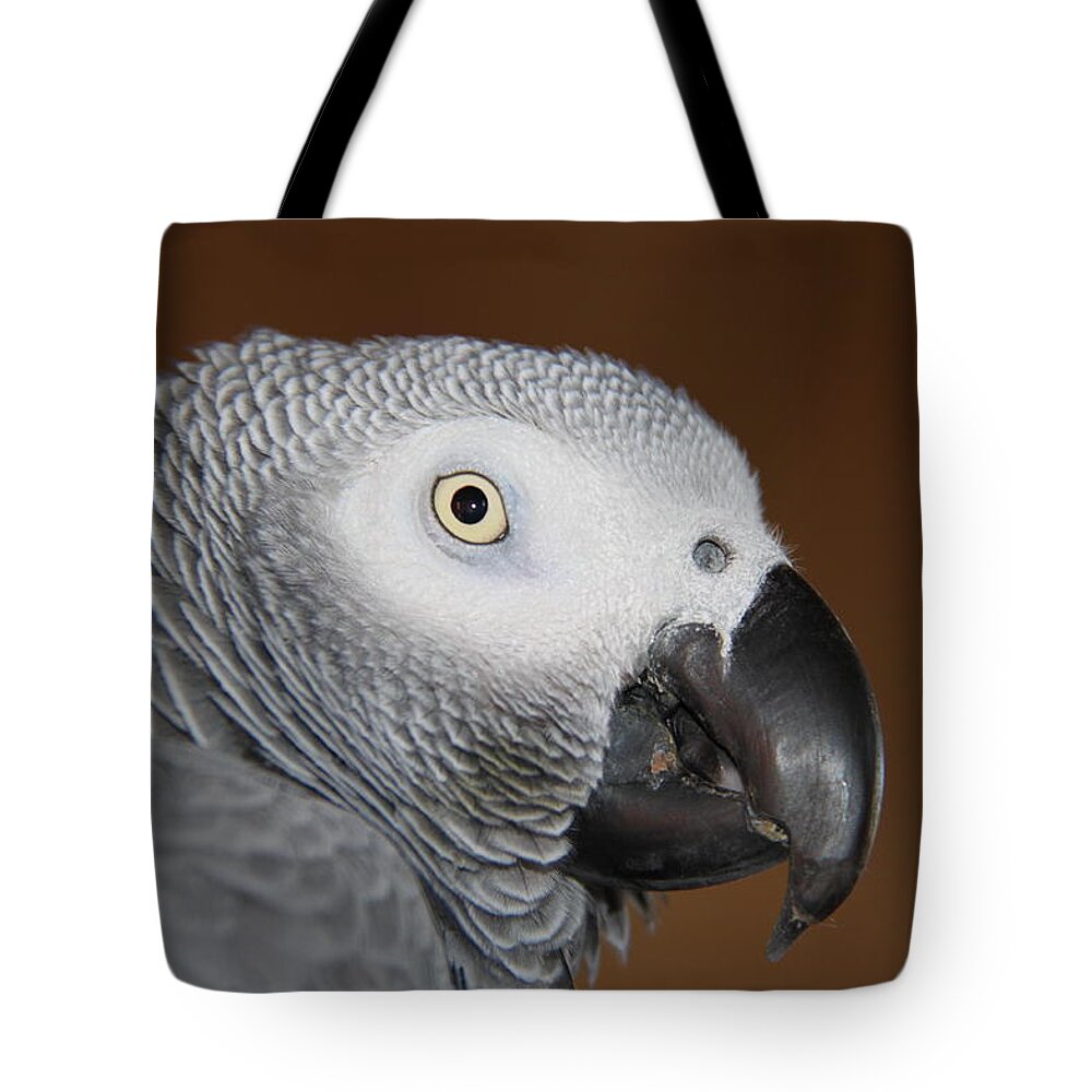 African Grey Tote Bag featuring the photograph SAM by Andrea Lazar