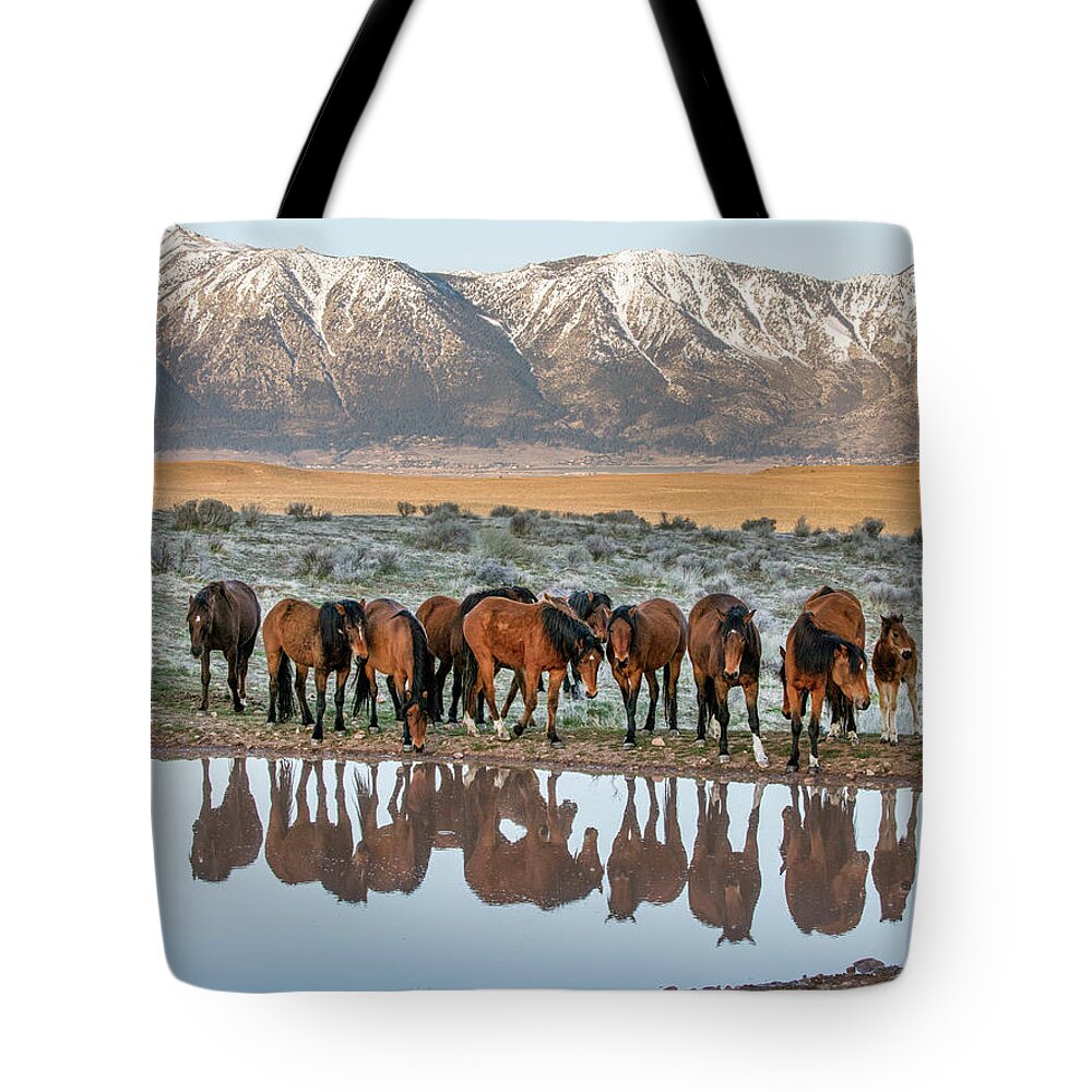  Tote Bag featuring the photograph Samson at the pond by John T Humphrey