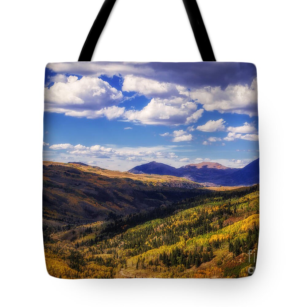 San Juan Scenic Byway Tote Bag featuring the photograph San Juan Colors by Janice Pariza