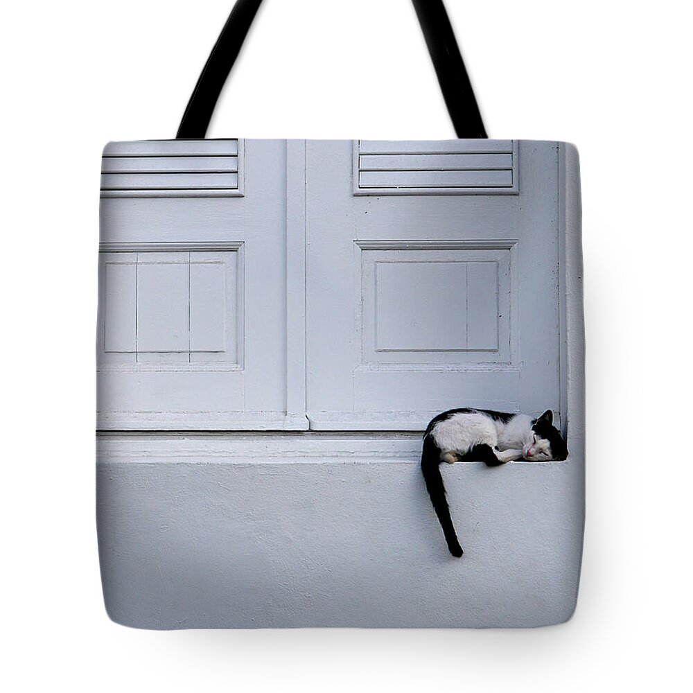 Richard Reeve Tote Bag featuring the photograph San Juan - Let Sleeping Cats Lie by Richard Reeve