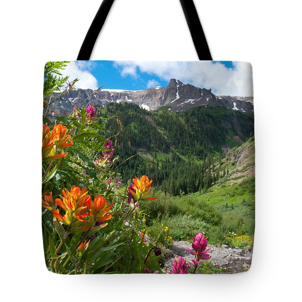 San Juans Tote Bag featuring the photograph San Juans Indian Paintbrush Landscape by Cascade Colors