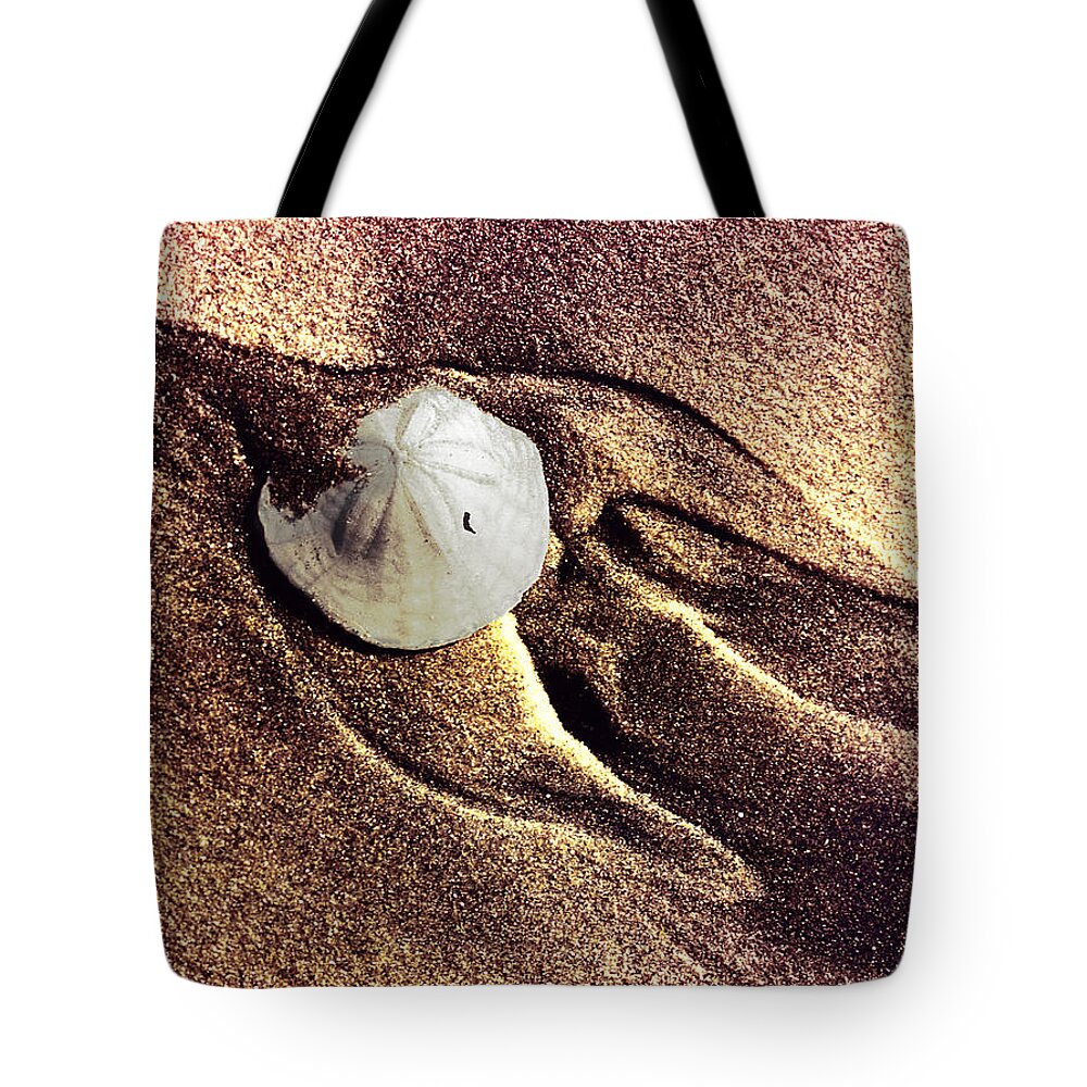 Sand Tote Bag featuring the photograph Sand Dollar Bird by David Sonnenschein