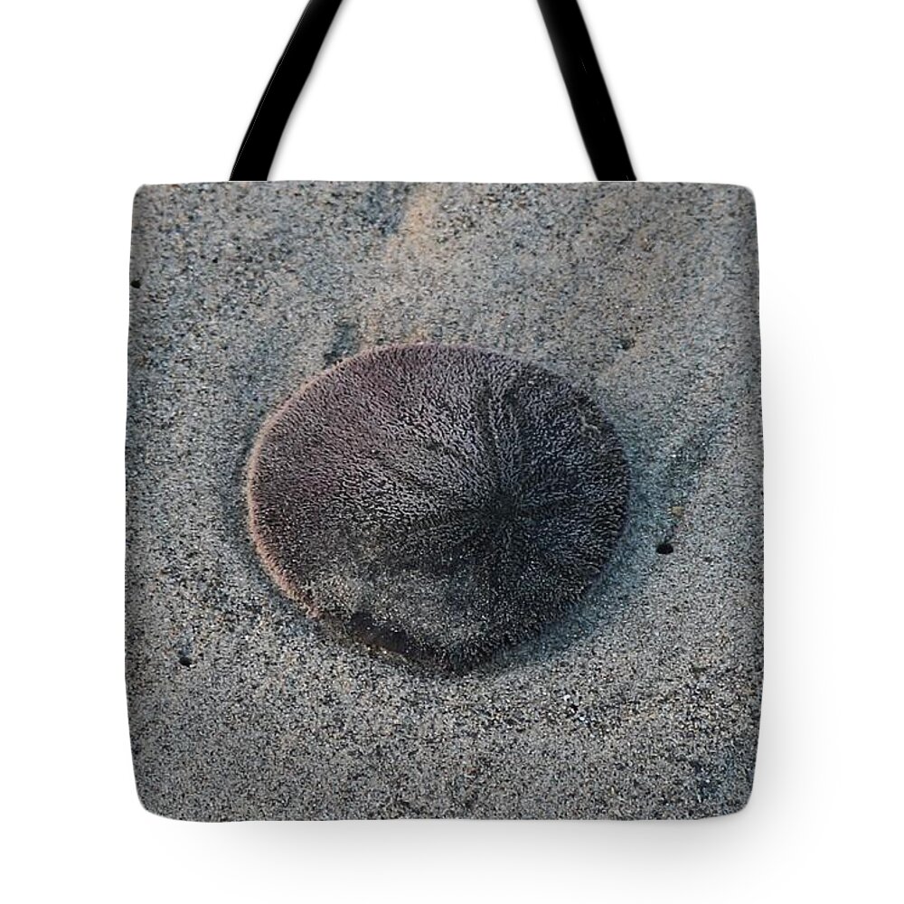 Sand Dollar Tote Bag featuring the photograph Sand Dollar by Christy Pooschke
