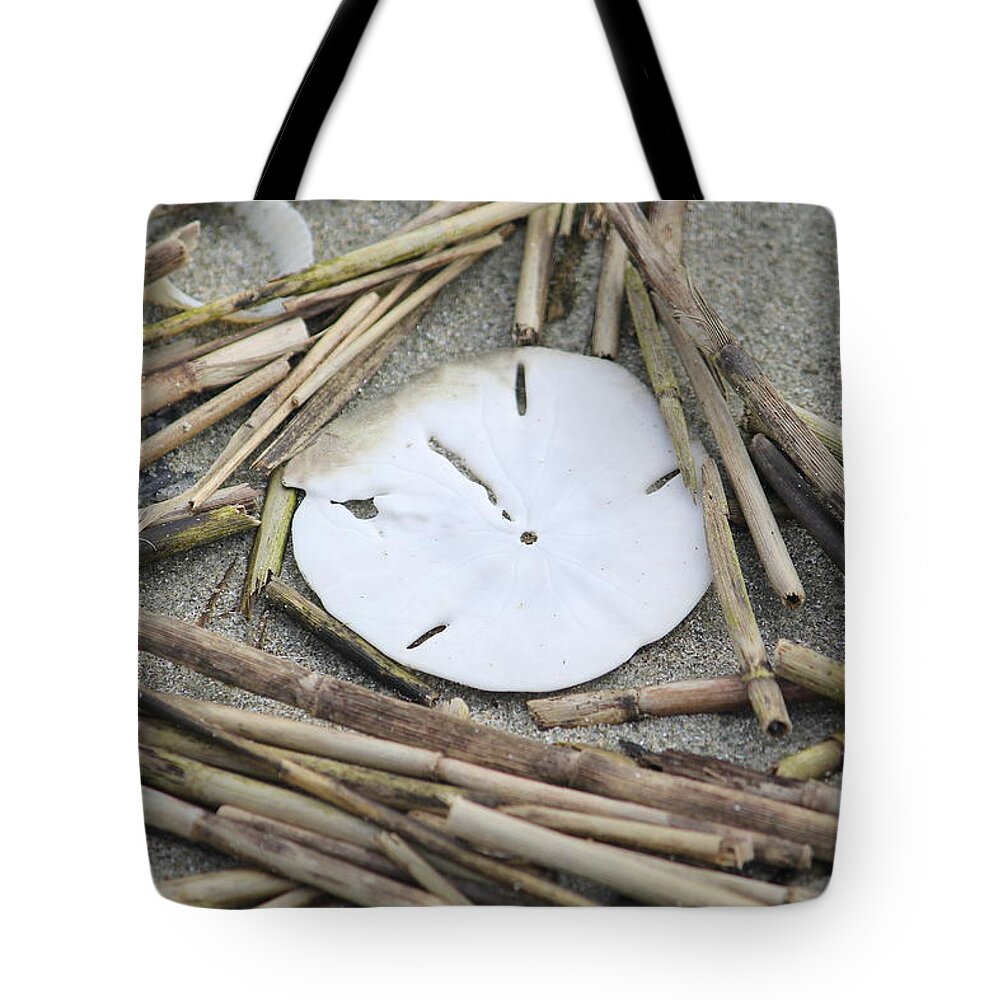 Sand Dollar Tote Bag featuring the photograph Sand Dollar Salad by Tammy Schneider