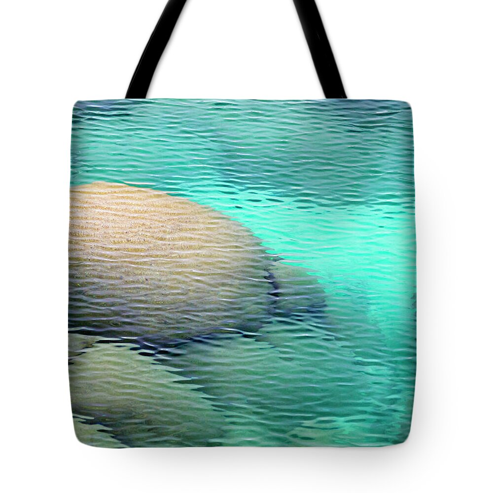 Lake Tahoe Tote Bag featuring the photograph Sand Harbor Ripples by Christopher Johnson