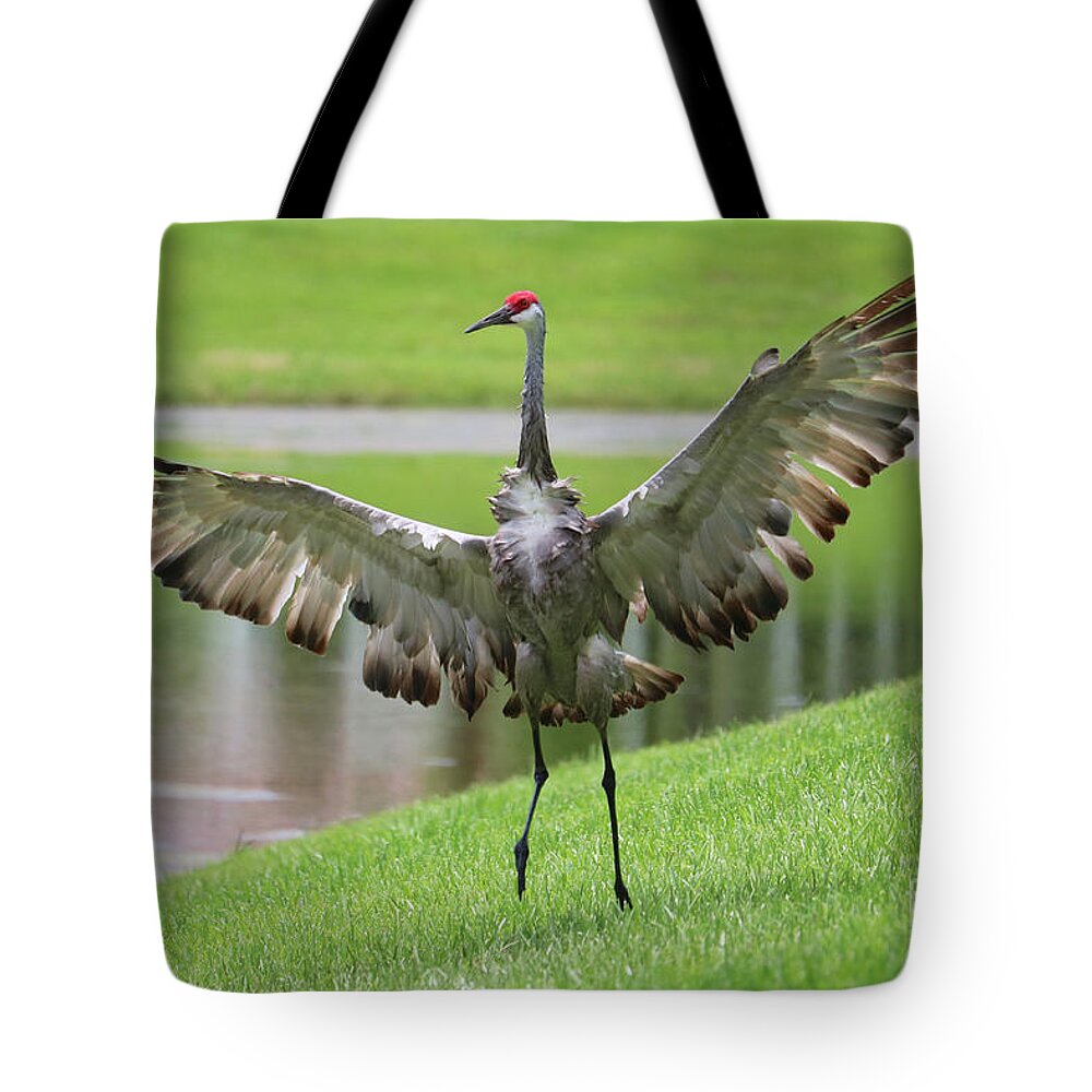 Florida Sandhill Crane Tote Bag featuring the photograph Sandhill Crane Courtship Dance 6 by Carol Groenen