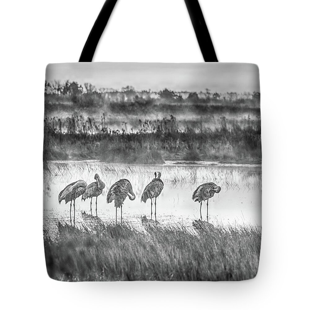 Crex Meadows Tote Bag featuring the photograph Sandhills in the Mist by Kristine Hinrichs