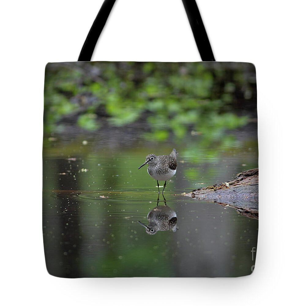 Sandpiper Tote Bag featuring the photograph Sandpiper in the Smokies by Douglas Stucky