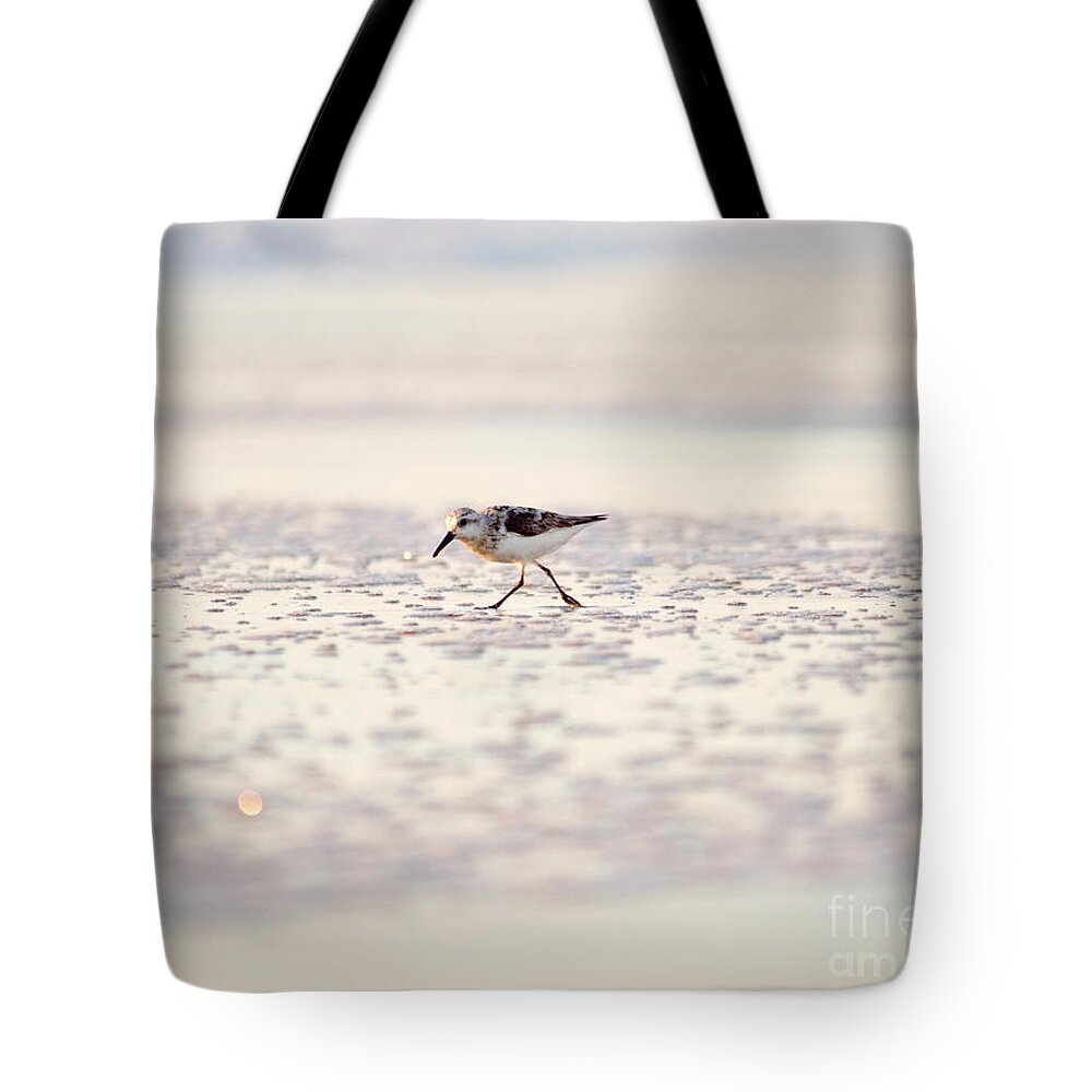 Sandpiper Tote Bag featuring the photograph Sandpiper Wave by Rachel Morrison