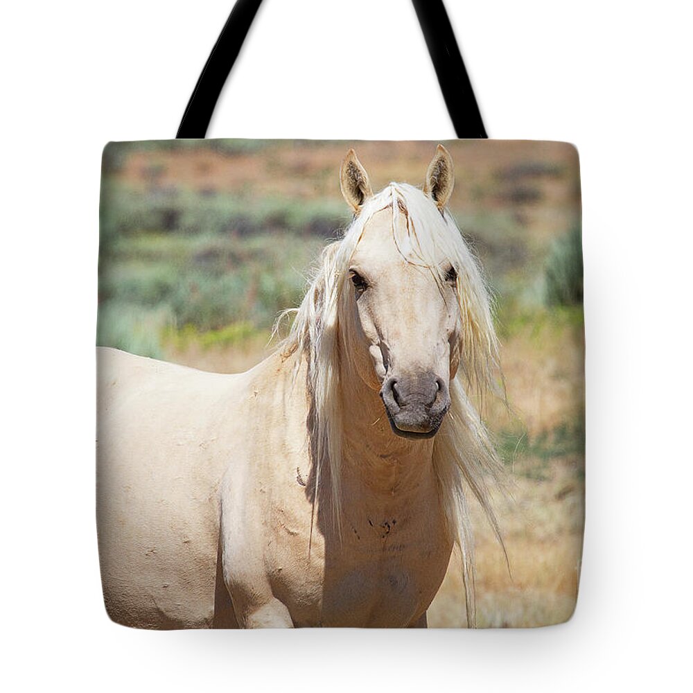 Horses Tote Bag featuring the photograph Sandwash Basin Stallion by Jim Garrison