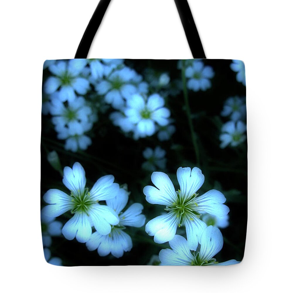 Flowers Tote Bag featuring the photograph Sandywinks by Marla Craven