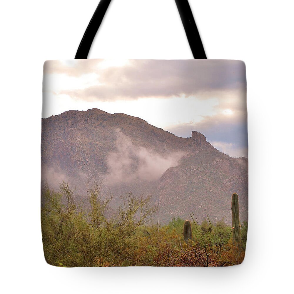 Fine Art Tote Bag featuring the photograph Santa Catalina Mountains II by Donna Greene