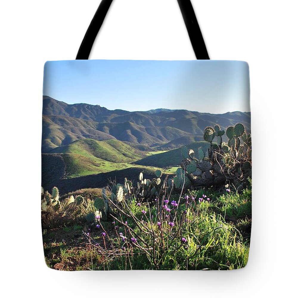 Tree Tote Bag featuring the photograph Santa Monica Mountains - Cactus Hillside View by Matt Quest