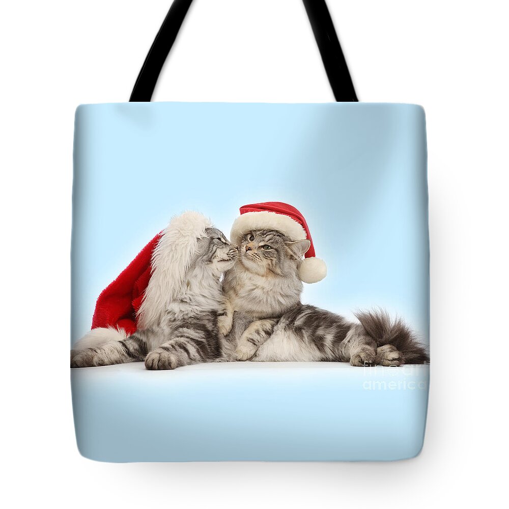 Father Christmas Tote Bag featuring the photograph Santas kissing Cats by Warren Photographic