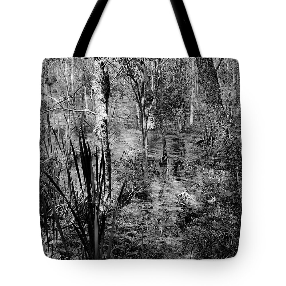 Woods Tote Bag featuring the photograph Sapsucker Woods by Susan Crowell