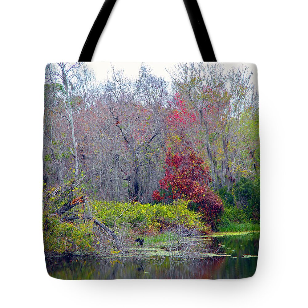 Land Tote Bag featuring the photograph Sarasota Reflections by Madeline Ellis
