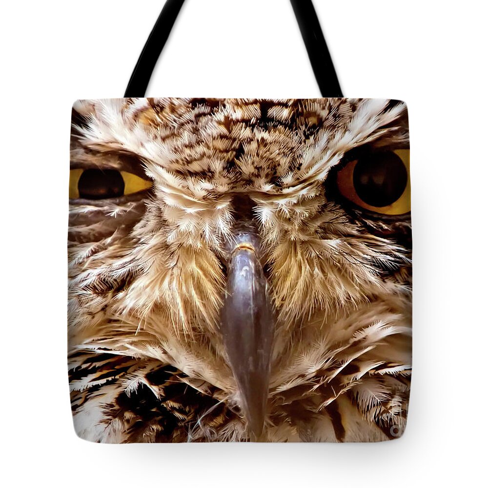 Looking Tote Bag featuring the photograph Sassy Owl by Bill Frische