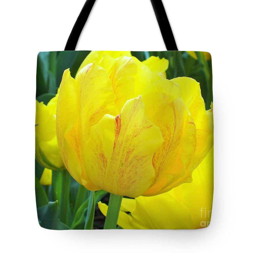 Tulip Tote Bag featuring the photograph Sassy Yellow Tulip by Carol Riddle