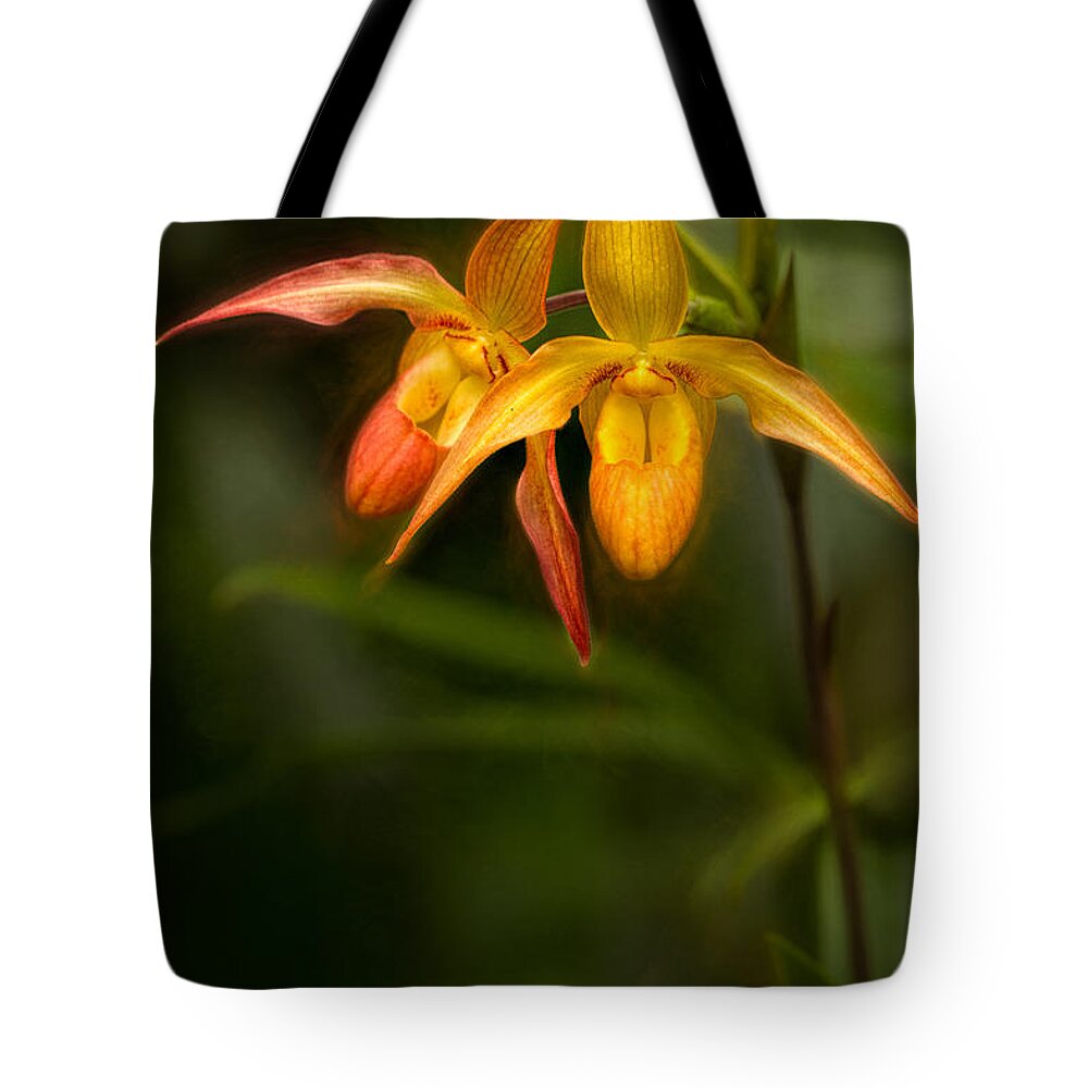Conservatory Tote Bag featuring the photograph Satin Dolls by Marilyn Cornwell
