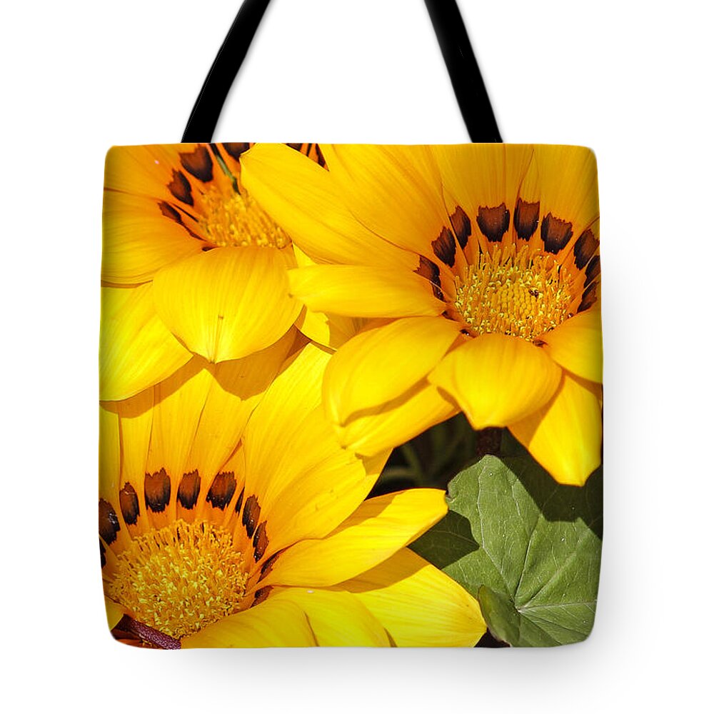 Floral Tote Bag featuring the photograph Satin Yellow Florals by E Faithe Lester