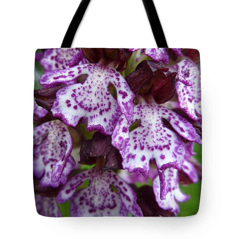 Beauty Tote Bag featuring the photograph Savage Orchid 2 by Jean Bernard Roussilhe