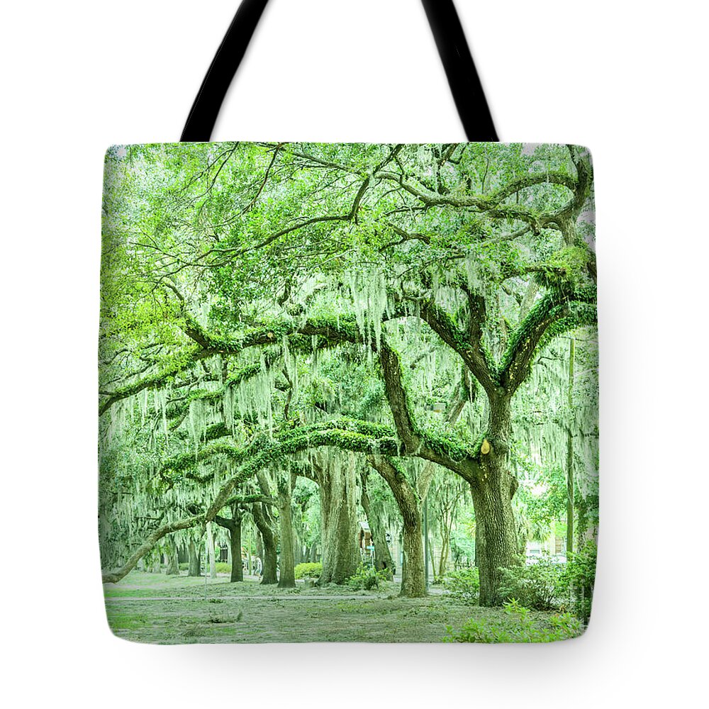 Savannah Tote Bag featuring the photograph Savannah Old Oaks by Ksenia VanderHoff