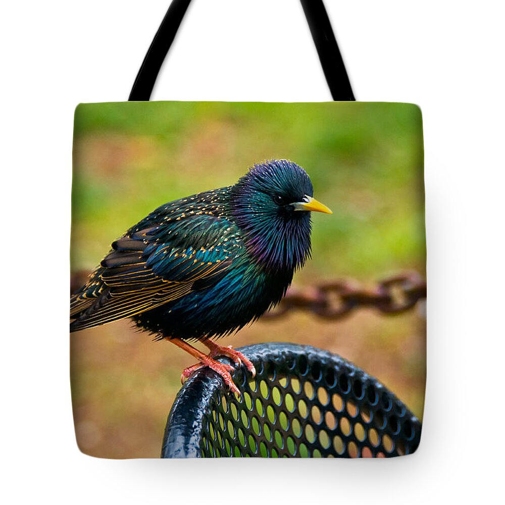 Bird Tote Bag featuring the photograph Saving A Seat by Christopher Holmes