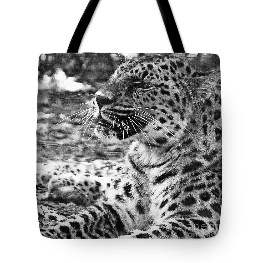 Leopard Tote Bag featuring the photograph Say Cheese by Lydia Holly