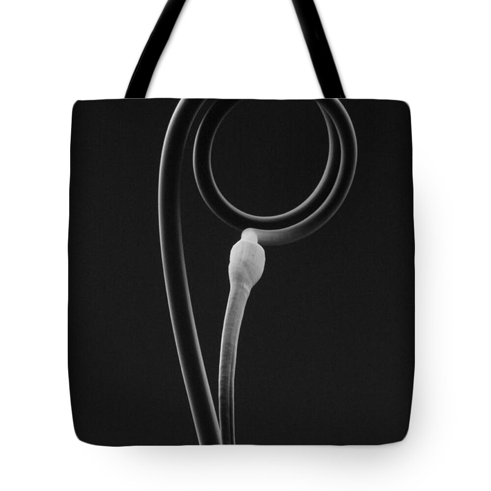 Flowers Tote Bag featuring the photograph Scapes 2 by Thomas Pipia