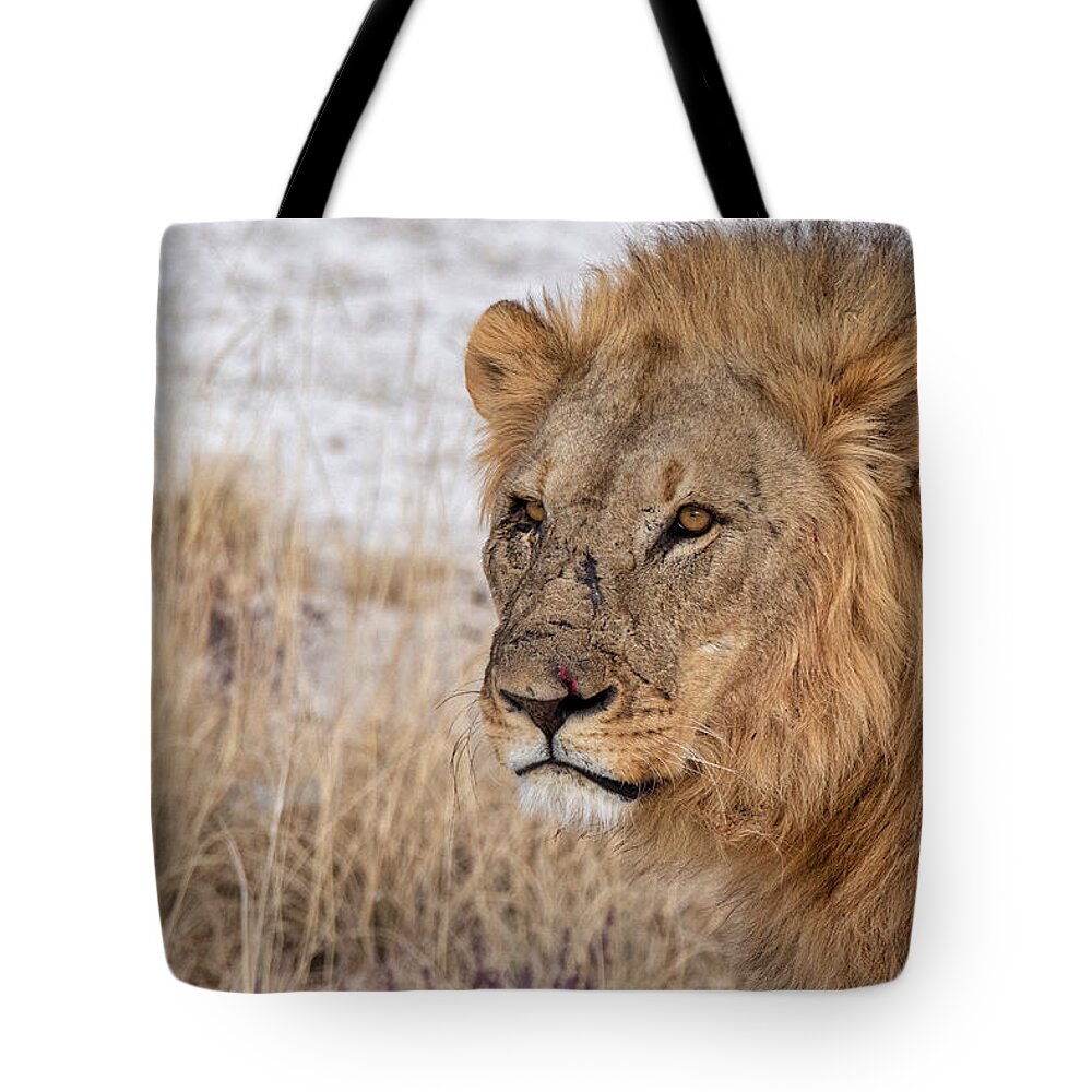 Lion Tote Bag featuring the photograph Scarface by Rand Ningali