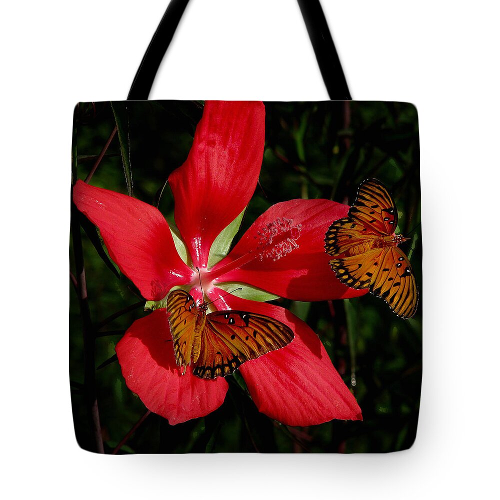 Nature Tote Bag featuring the photograph Scarlet Beauty by Peggy Urban