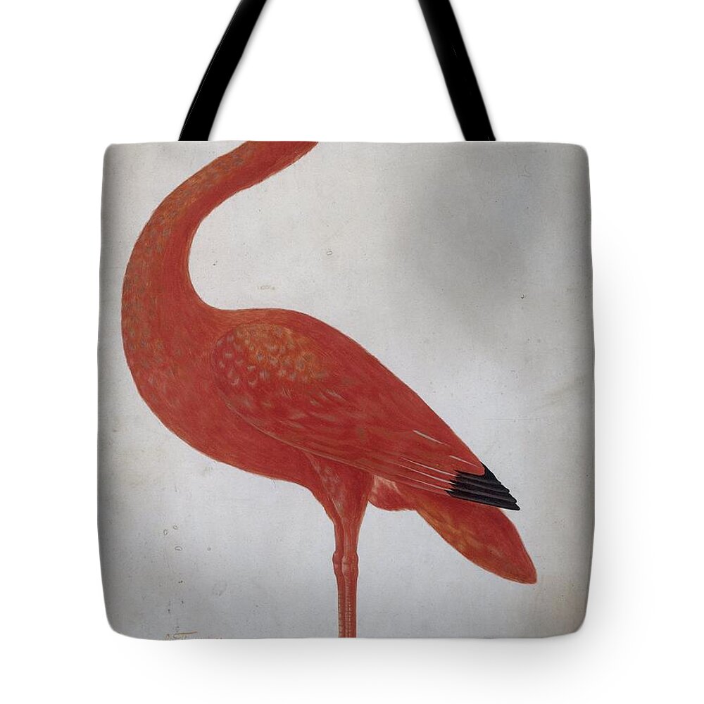 Scarlet Ibis With An Egg Tote Bag featuring the painting Scarlet Ibis with an Egg by MotionAge Designs