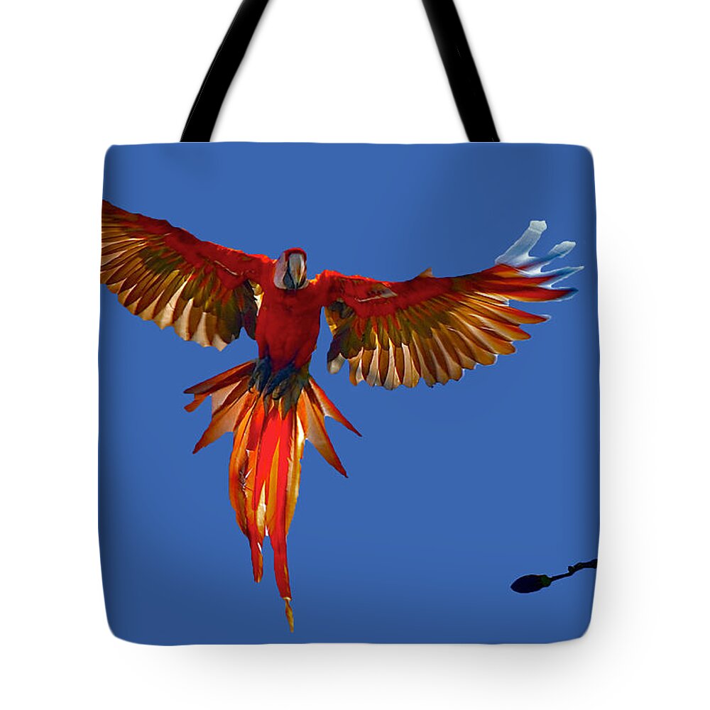Scarlet Macaw Tote Bag featuring the photograph Scarlet Macaw on the Osa Peninsula by Don Mercer