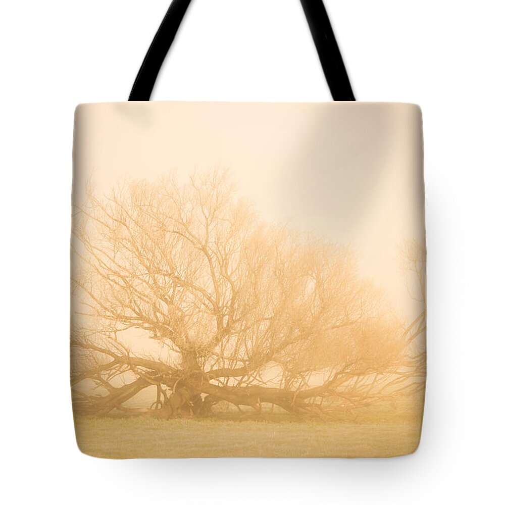 Haunting Tote Bag featuring the photograph Scary tree scenes by Jorgo Photography
