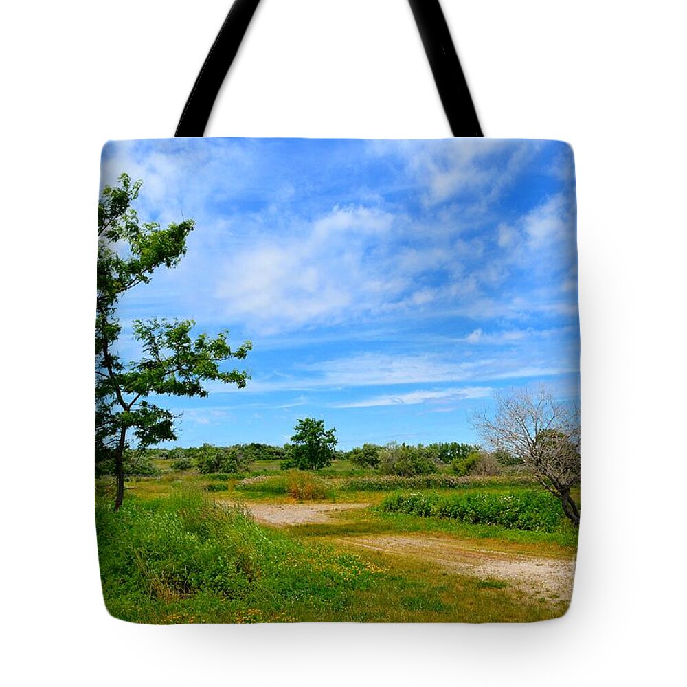 Path Tote Bag featuring the photograph Scene at Silver Sands by Dani McEvoy