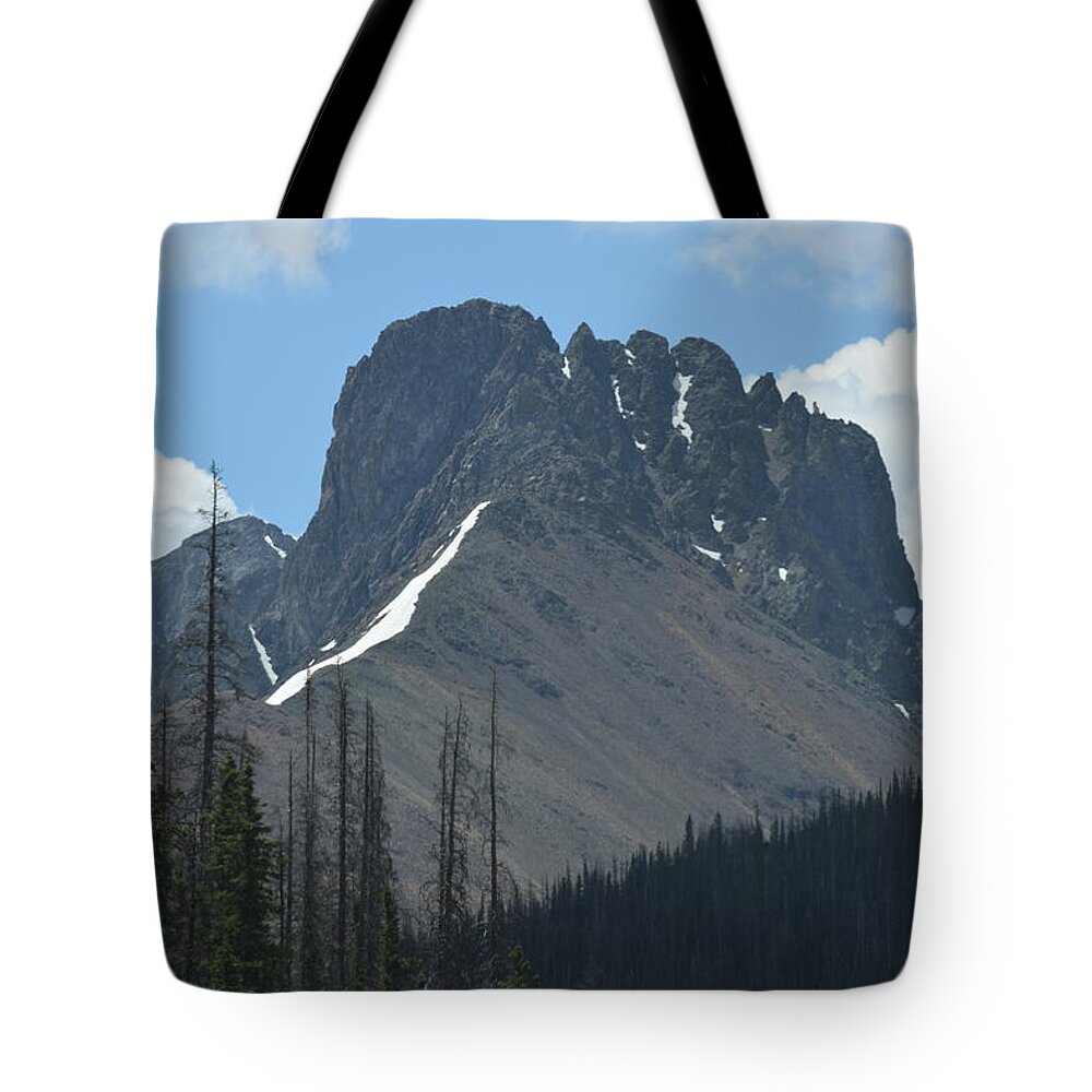 Berg Tote Bag featuring the photograph Mountain Scenery Hwy 14 CO by Margarethe Binkley