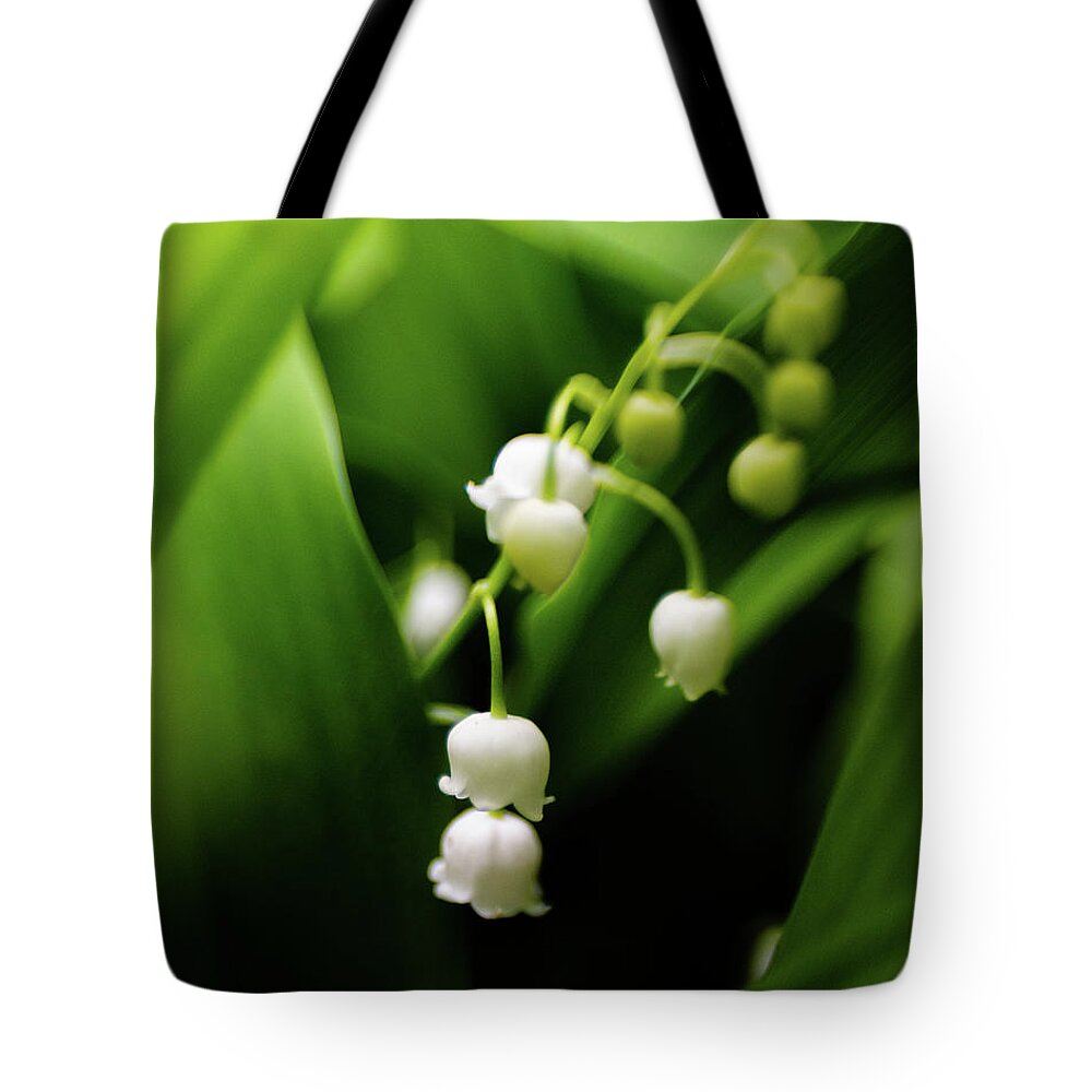 Flower Tote Bag featuring the photograph Scents of Spring by Pamela Taylor