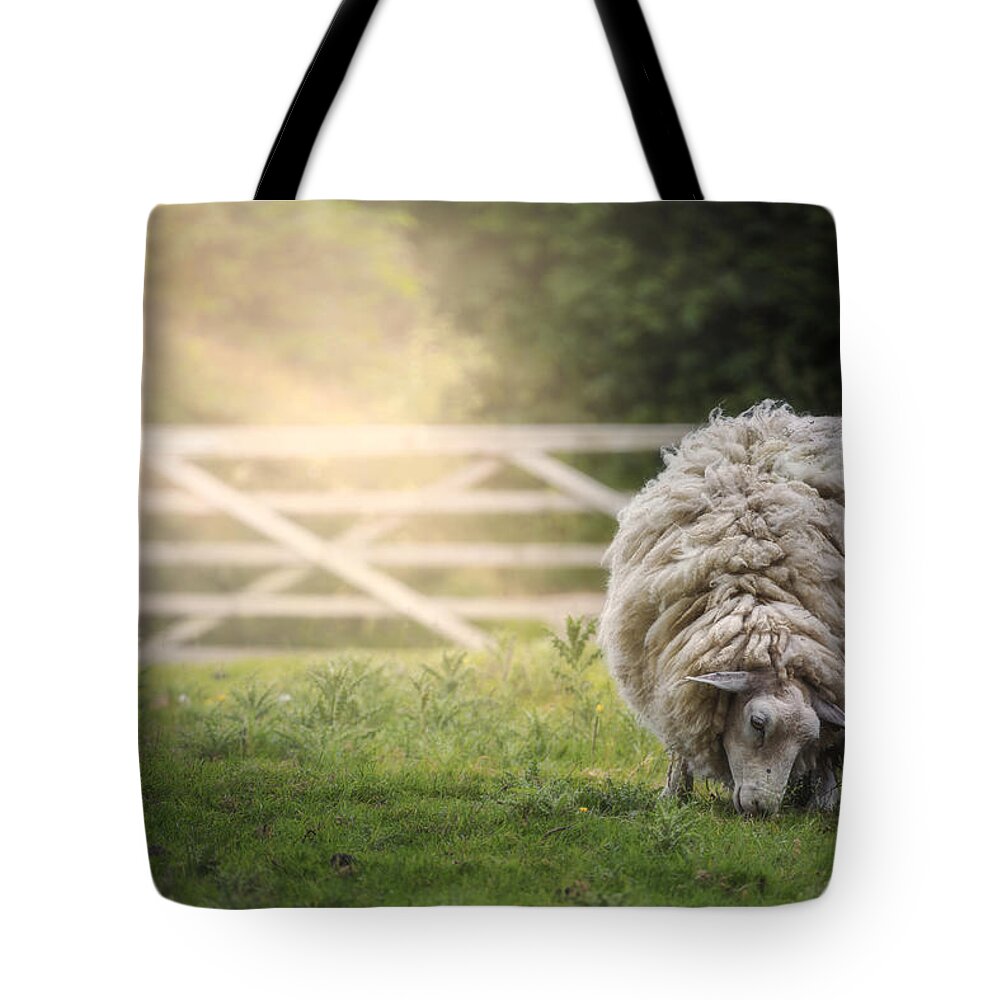 Sheep Tote Bag featuring the photograph Sheep by Joana Kruse