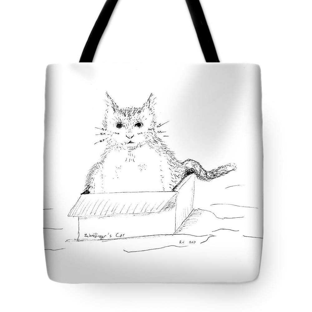 Cat Tote Bag featuring the drawing Schrodinger Cat by Regina Valluzzi