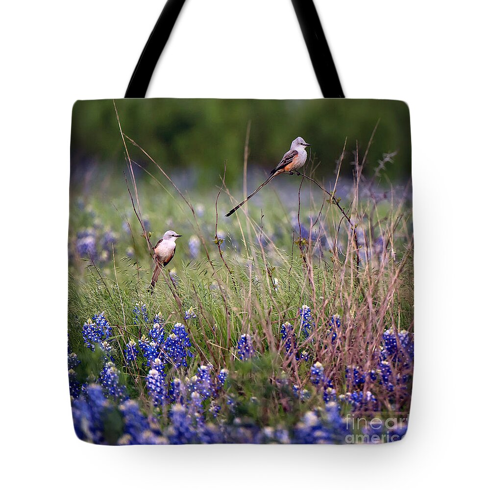 Birds Tote Bag featuring the photograph Scissor-tailed Flycatchers by Cathy Alba